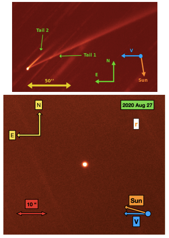 由Apache Point Observatory 3.5米與Palomar P200 (~5米) 望遠鏡分別於2019年二月與2020年八月拍攝Gault 活躍(彗尾特徵)與靜態的照片