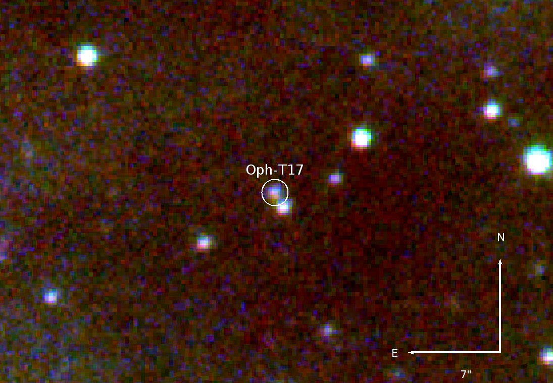 Oph-T17影像圖