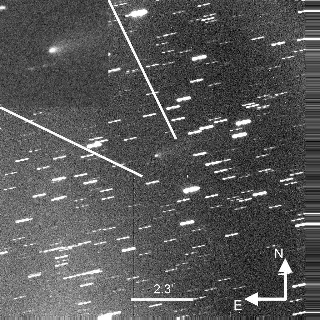 由台灣團隊參與的ZTF (Zwicky Transient Facility)巡天計畫近期發現了一顆彗星